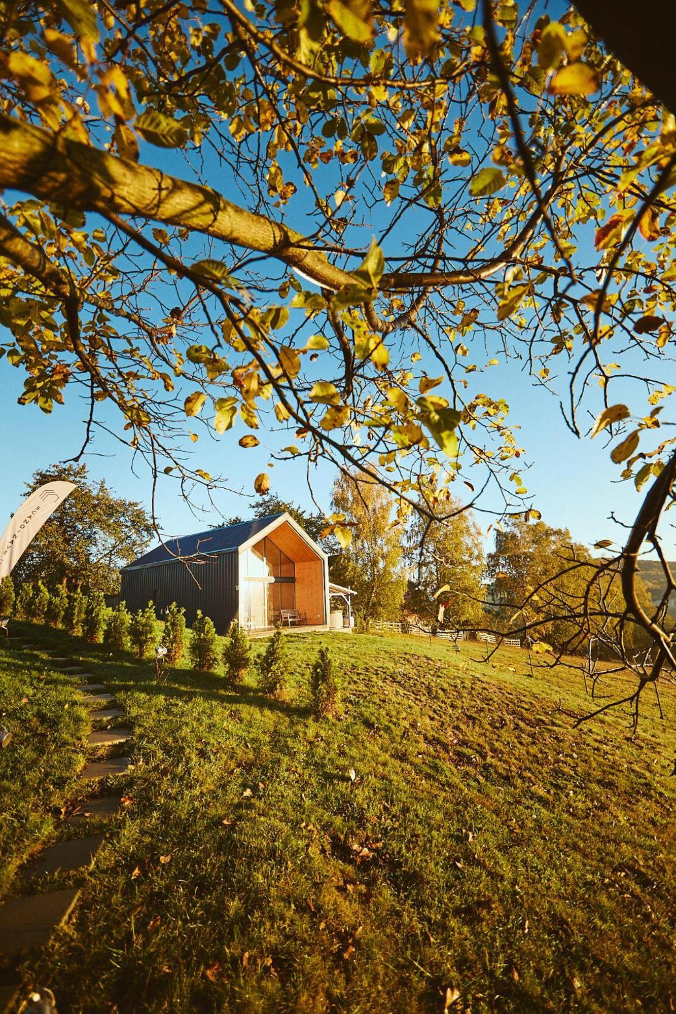 Scandinave Chalet Bran Зернешті Екстер'єр фото