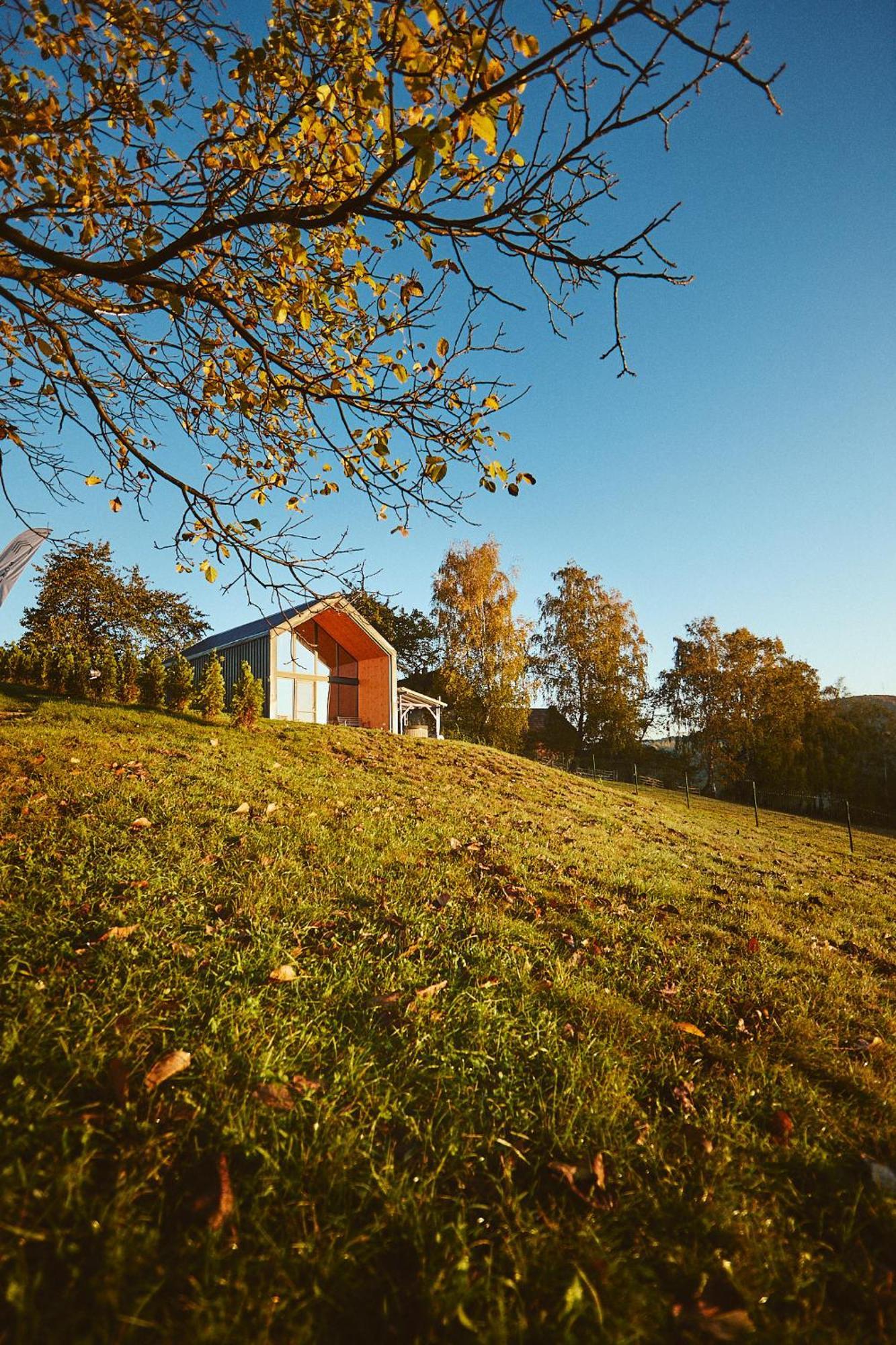 Scandinave Chalet Bran Зернешті Екстер'єр фото