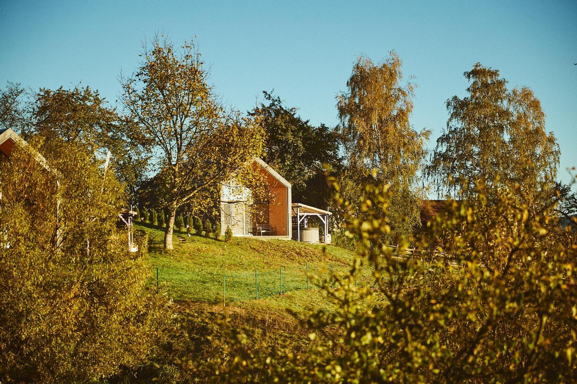 Scandinave Chalet Bran Зернешті Екстер'єр фото