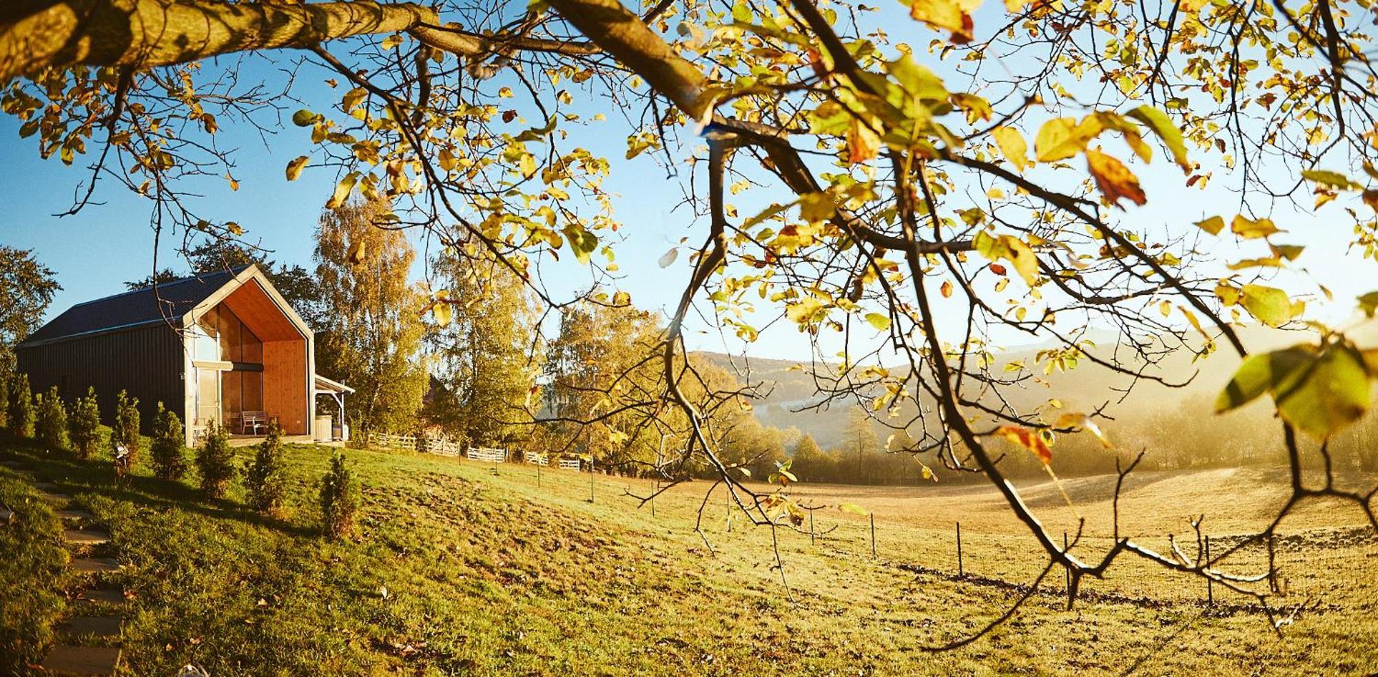 Scandinave Chalet Bran Зернешті Екстер'єр фото