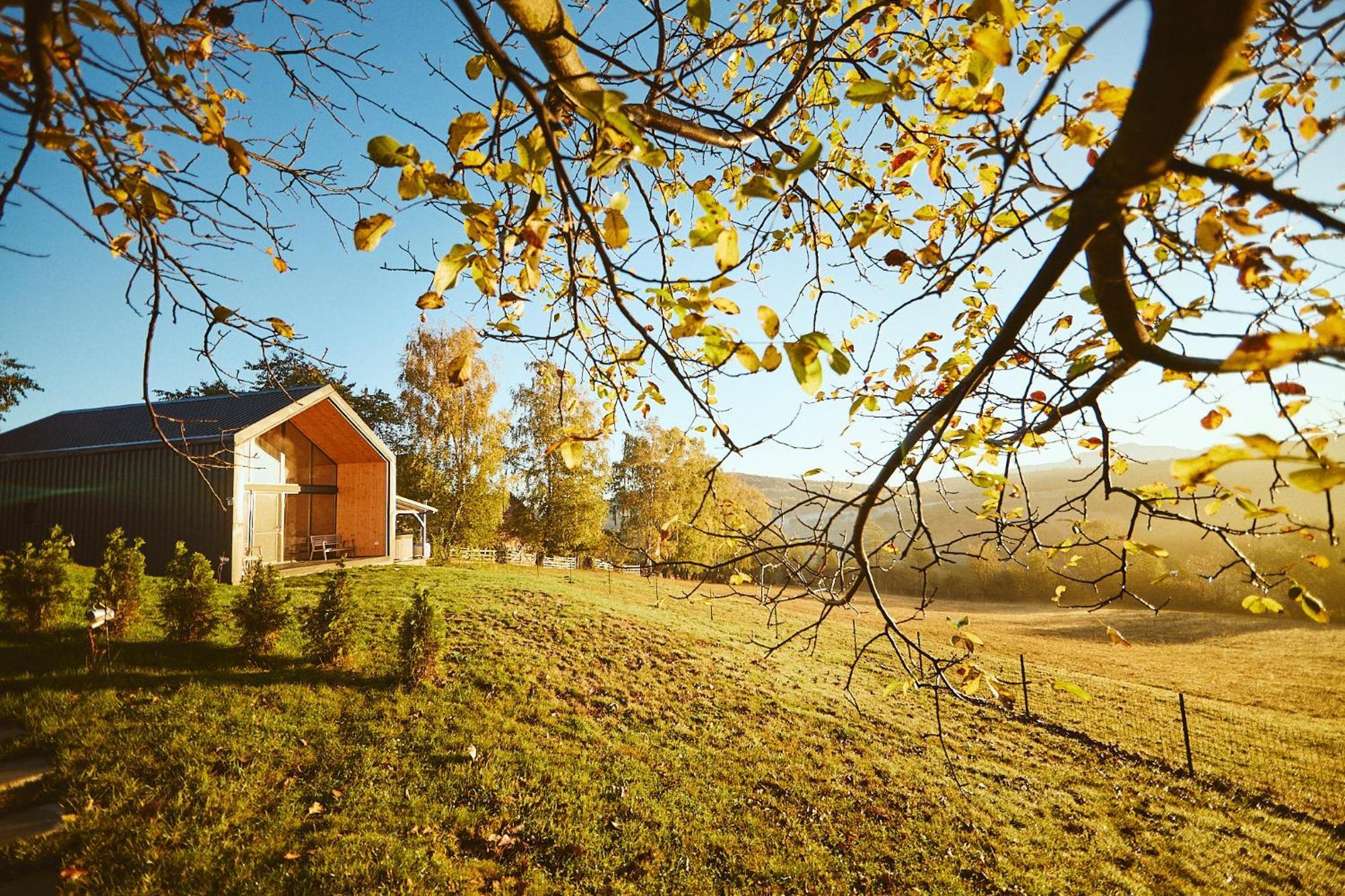 Scandinave Chalet Bran Зернешті Екстер'єр фото