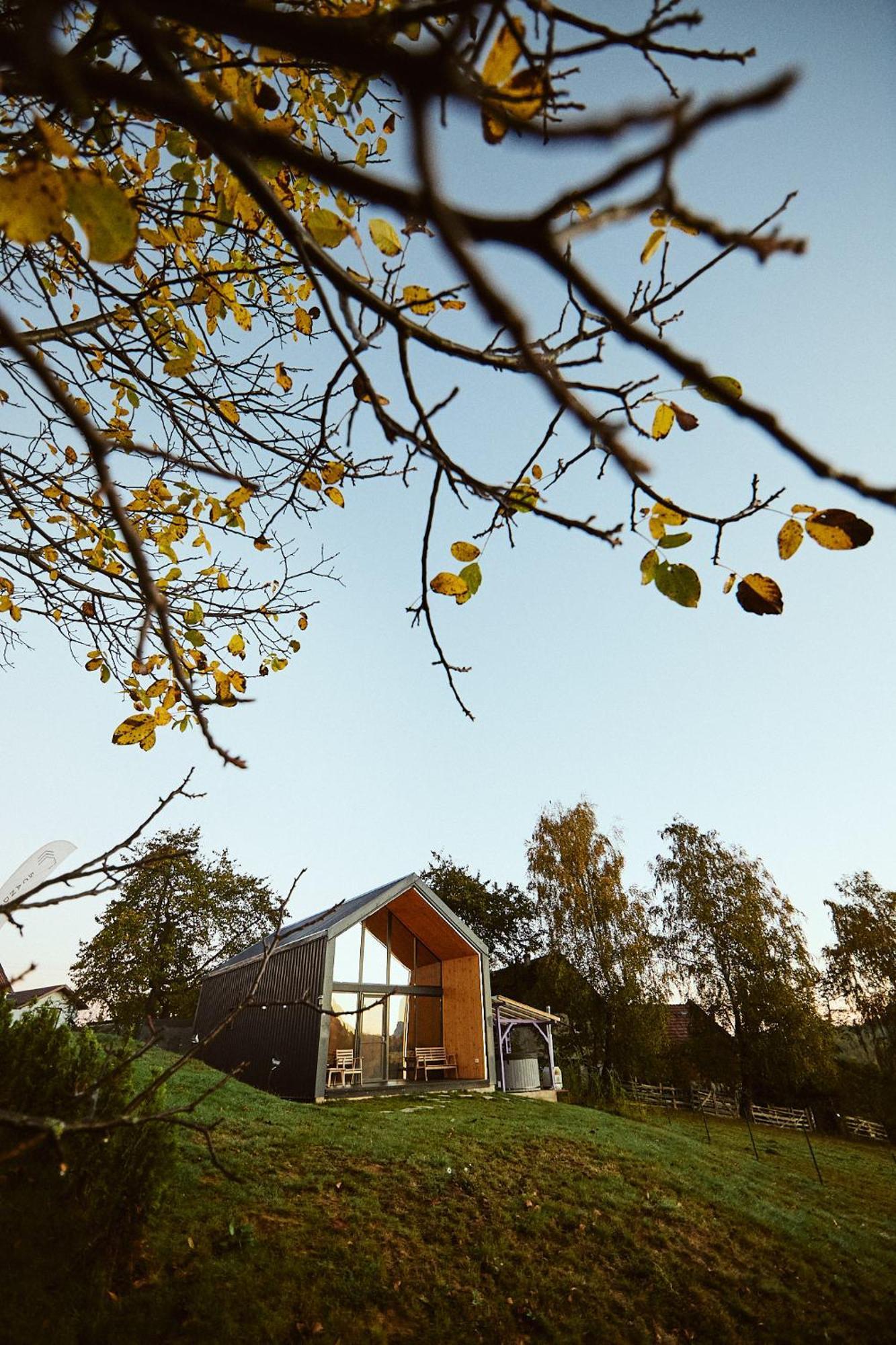 Scandinave Chalet Bran Зернешті Екстер'єр фото